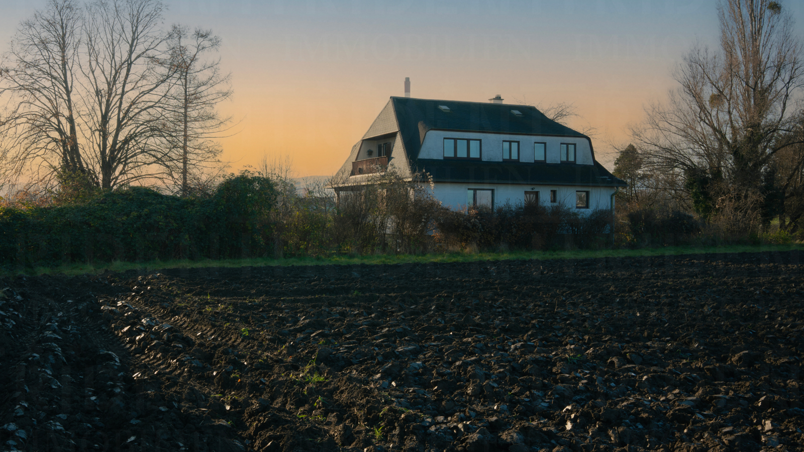 Grundstück in Bisamberg